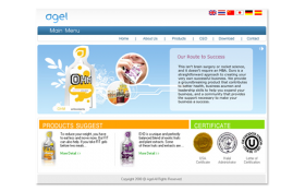 Web Design : Agel